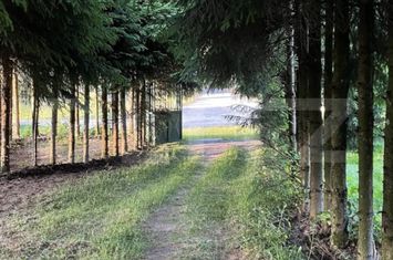 Vilă - 6 camere de vanzare PONOREL - Alba anunturi imobiliare Alba