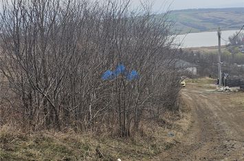 Teren Intravilan de vanzare CIURBESTI - Iasi anunturi imobiliare Iasi