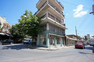 Spațiu comercial parter 29 mp în centrul Drama anunturi imobiliare Grecia