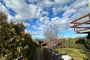 Casă - 3 camere de inchiriat SALICEA - Cluj anunturi imobiliare Cluj