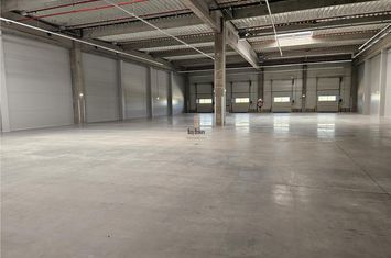 Spațiu industrial de inchiriat AEROPORT - Bihor anunturi imobiliare Bihor