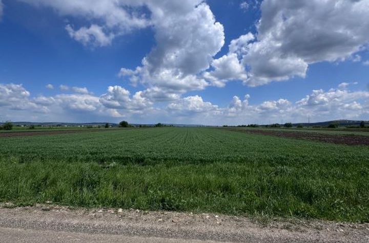 Teren de vanzare RADAUTI - Suceava anunturi imobiliare Suceava