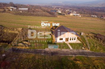 Casă - 4 camere de vanzare CIUREA - Iasi anunturi imobiliare Iasi