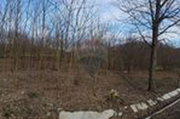 Teren 2,714mp de vanzare -  Strada Gura Vaii / Bujoreni anunturi imobiliare Valcea