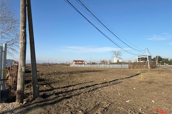 Teren Extravilan de vanzare VEST - Vrancea anunturi imobiliare Vrancea