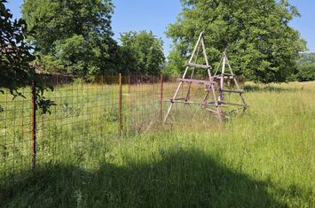 Teren intravilan 2453 mp de vanzare in Brebu anunturi imobiliare Prahova