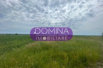 Teren de vanzare DANESTI - Gorj anunturi imobiliare Gorj