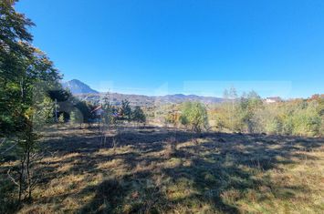 Teren de vanzare POIANA MARULUI - Brasov anunturi imobiliare Brasov