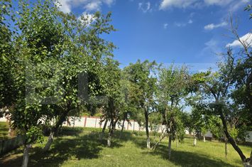 Teren de vanzare TITU - Dambovita anunturi imobiliare Dambovita