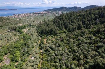 Teren construibil în Agia Marina, 4.099 mp anunturi imobiliare Grecia