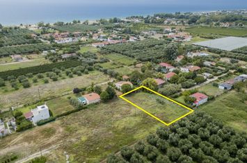 Teren 1000 mp, Paralia Orfaniou — 550 metri de mare anunturi imobiliare Grecia