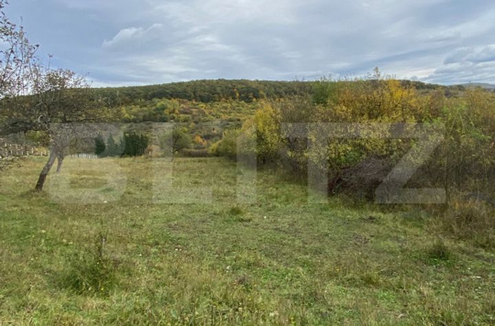 Teren de vanzare BISTRITA - Bistrita-Nasaud anunturi imobiliare Bistrita-Nasaud