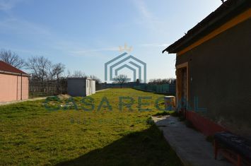 Teren 3500 mp împrejmuit, central, Biharia, lângă Profi, utilități anunturi imobiliare Bihor