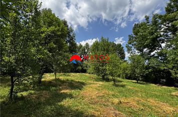 Teren Intravilan de vanzare BREAZA - Prahova anunturi imobiliare Prahova
