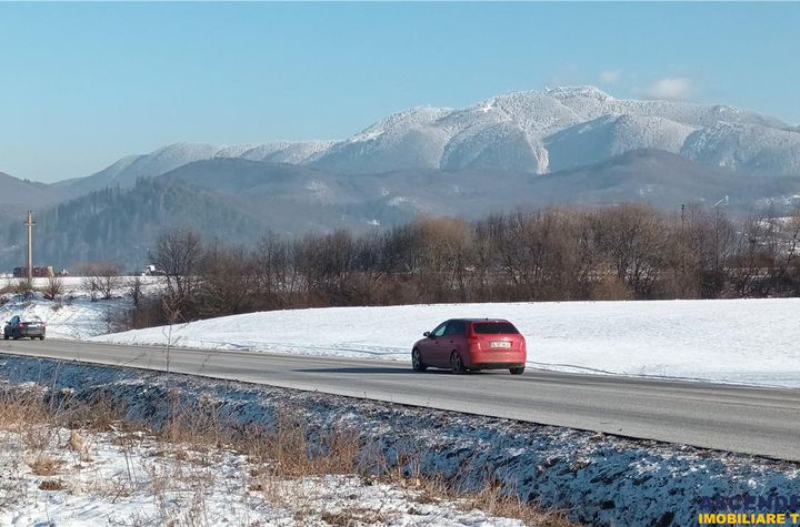 Teren Intravilan de vanzare RASNOV - Brasov anunturi imobiliare Brasov