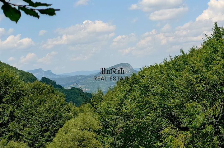 Teren Extravilan de vanzare BUCES - Hunedoara anunturi imobiliare Hunedoara