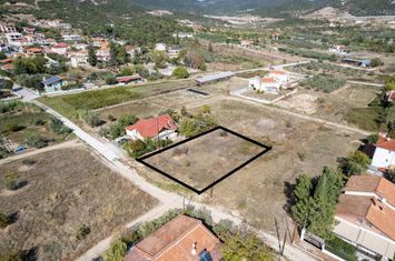Teren 1.000 mp în Agios Andreas, Kavala anunturi imobiliare Grecia