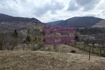 Teren intravilan de vanzare in Valea Doftanei anunturi imobiliare Prahova