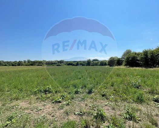 Teren Intravilan Nord, 5000 mp