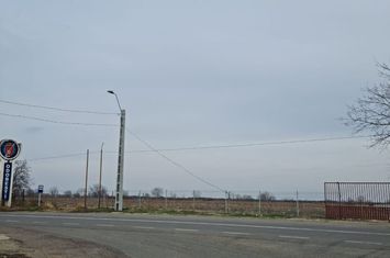 Teren intravilan Unirea Odobesti anunturi imobiliare Vrancea