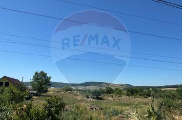 Vând teren Dej / Strada Dumbrava Rosie anunturi imobiliare Cluj