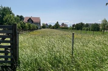 Teren de vanzare RADAUTI - Suceava anunturi imobiliare Suceava