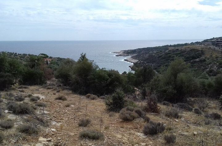 Teren 17.000 mp în Astrida, Thassos, la 100 m de mare anunturi imobiliare Grecia