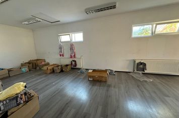 Spațiu comercial de inchiriat RADAUTI - Suceava anunturi imobiliare Suceava