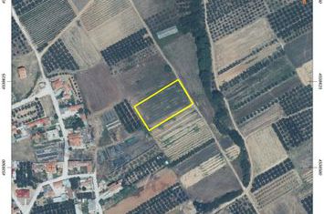 Teren agricol 3.075 mp în Gravouna, front 41 m anunturi imobiliare Grecia