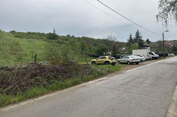 Teren intravilan 1300 mp Dealuri Oradea anunturi imobiliare Bihor