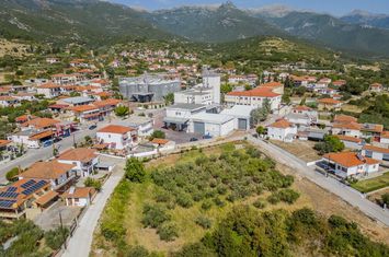 Teren construibil 3.250 mp în Podochori, Kavala anunturi imobiliare Grecia
