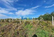 56.300 €, Teren Intravilan