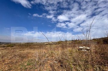 Teren de vanzare BARNOVA - Iasi anunturi imobiliare Iasi