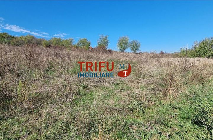 Teren Extravilan de vanzare CENTRAL - Alba anunturi imobiliare Alba