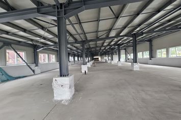 Spațiu, 1180 mp,  pentru Sala ta de Sport, Str. Cicoarei anunturi imobiliare Iasi