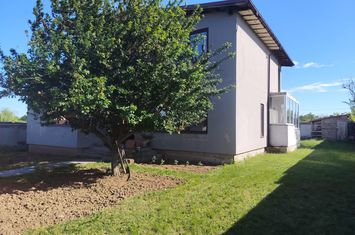 Vilă - 5 camere de vanzare AEROPORT - Dolj anunturi imobiliare Dolj
