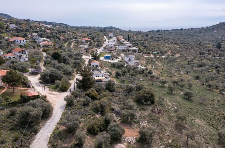 Teren construibil 507,95 mp în Astrida, Thassos anunturi imobiliare Grecia