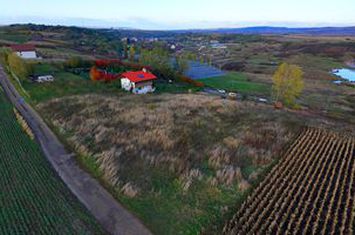 Teren de vanzare OCNA SIBIULUI - Sibiu anunturi imobiliare Sibiu