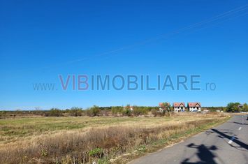 Tancabesti Snagov Mega Image constructie imediata anunturi imobiliare Bucuresti