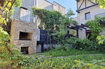 BANEASA GARLEI VILA ELEGANTA DE VINZARE anunturi imobiliare Bucuresti