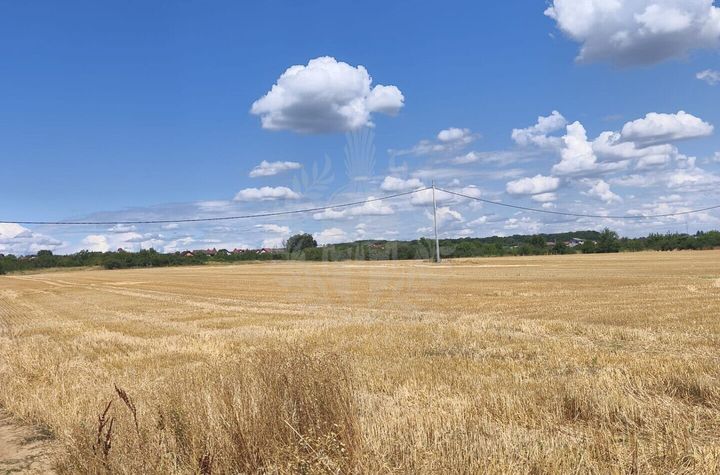 TEREN COCOSESESTI//INTRAVILAN anunturi imobiliare Prahova