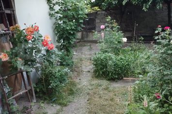 Casă - 3 camere de vanzare TARGU-JIU - Gorj anunturi imobiliare Gorj