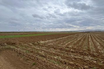 Teren de vanzare HORODNIC - Suceava anunturi imobiliare Suceava