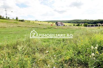Teren 6.800mp teren cu deschidere de 100 m la drum asfaltat anunturi imobiliare Mures