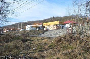 Valea Ursului - DN 7, Teren Stradal 2744 mp anunturi imobiliare Arges