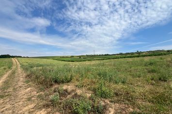 Teren de vanzare CASOLT - Sibiu anunturi imobiliare Sibiu