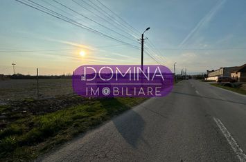 Teren de inchiriat TARGU-JIU - Gorj anunturi imobiliare Gorj