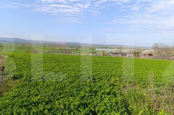 Teren de vanzare CRISTESTI - Botosani anunturi imobiliare Botosani