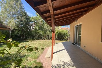 Casa cu gradina, complex rezidential cu paza, zona Iancu Nicolae anunturi imobiliare Bucuresti