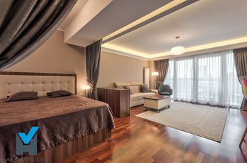 Garsonieră de inchiriat DRISTOR - Bucuresti anunturi imobiliare Bucuresti